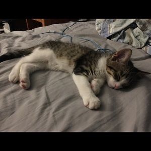 Meet your Posher, Nicolas